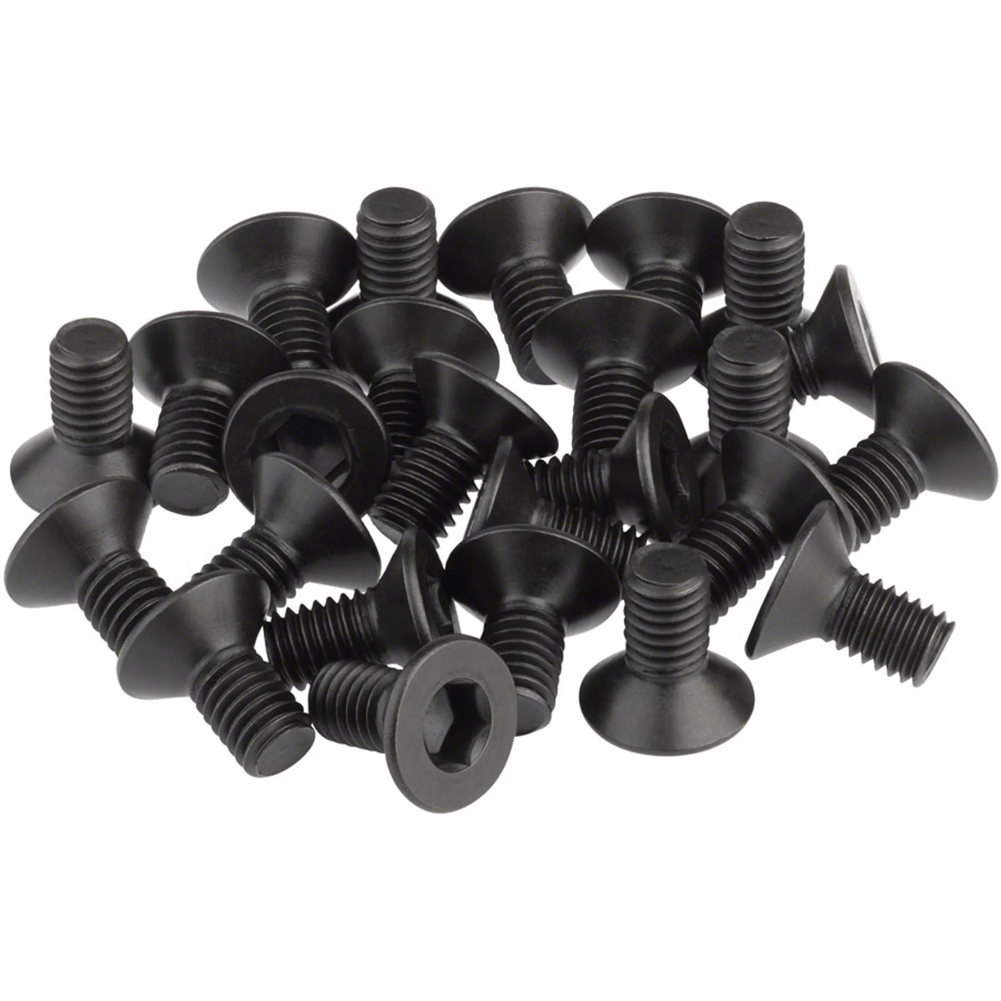 Cleat Screws
