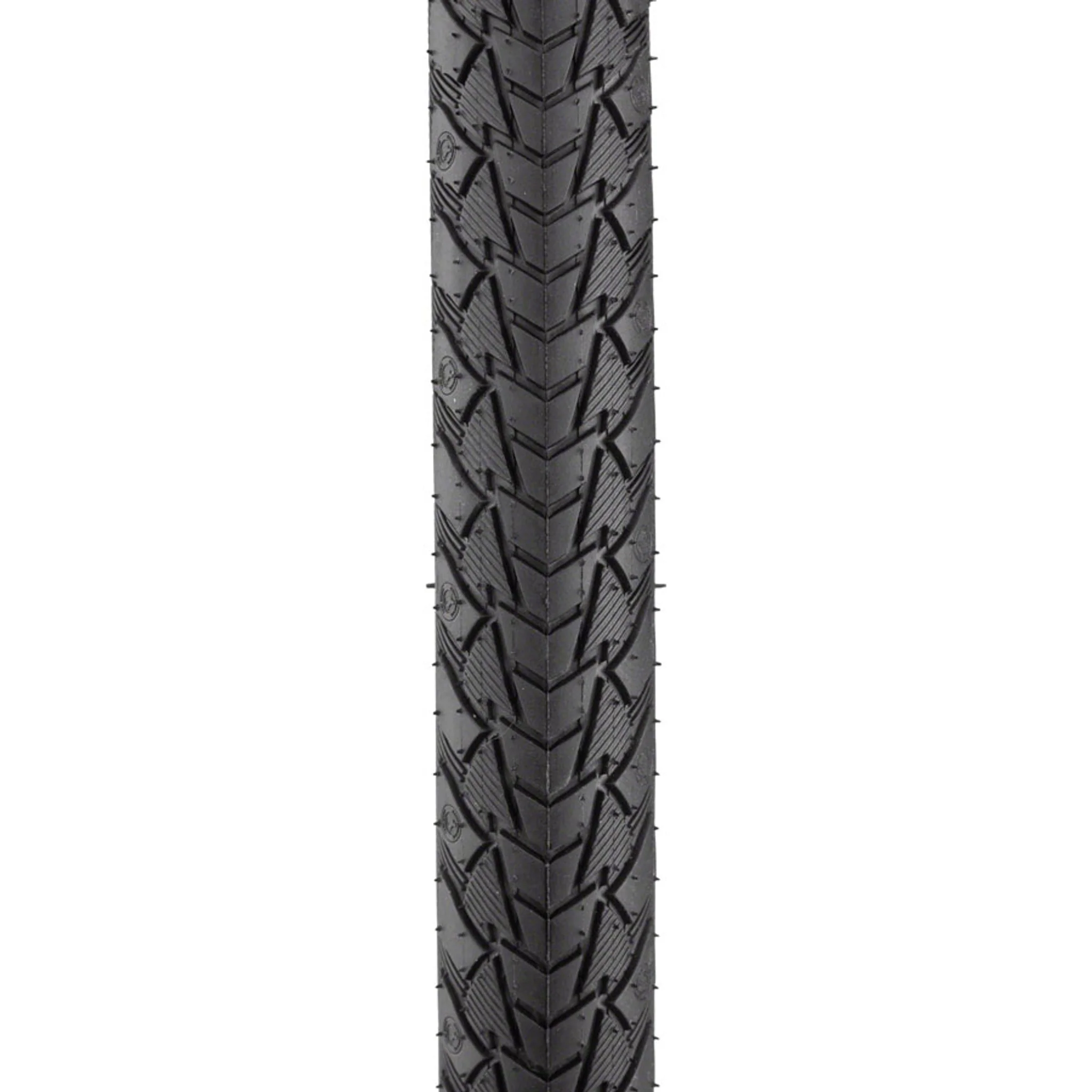 Contact Plus Tire - Image 2