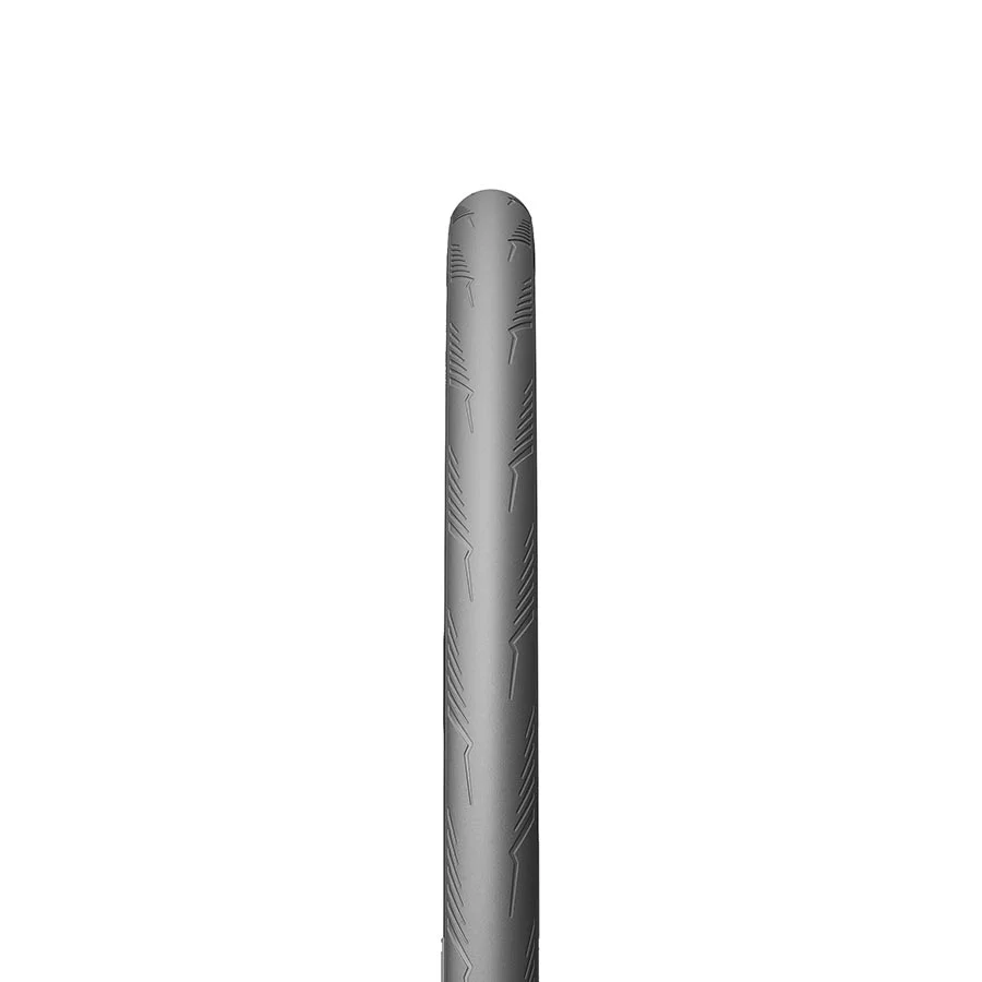 P ZERO Race TLR 4S Tire - Image 15